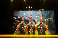 Le Cirque de Shanghai
