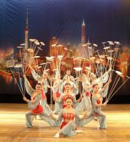 Le Cirque de Shanghai