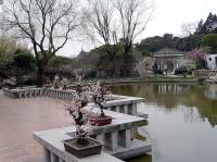 Le jardin des Pruniers,Wuxi
