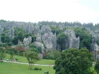 Forêt de pierres (UNESCO)